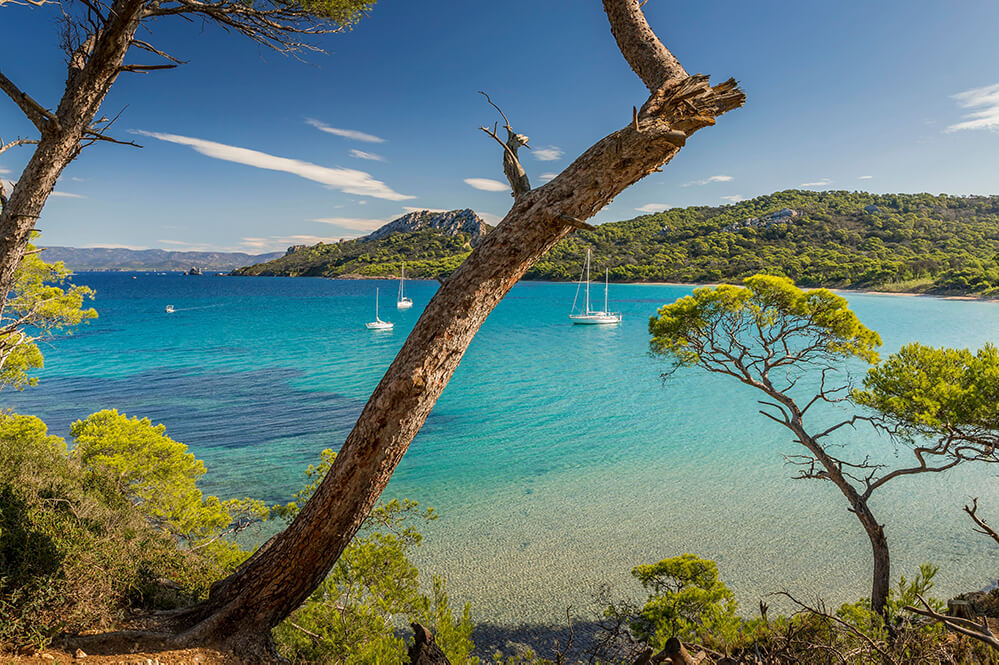 ile de porquerolles